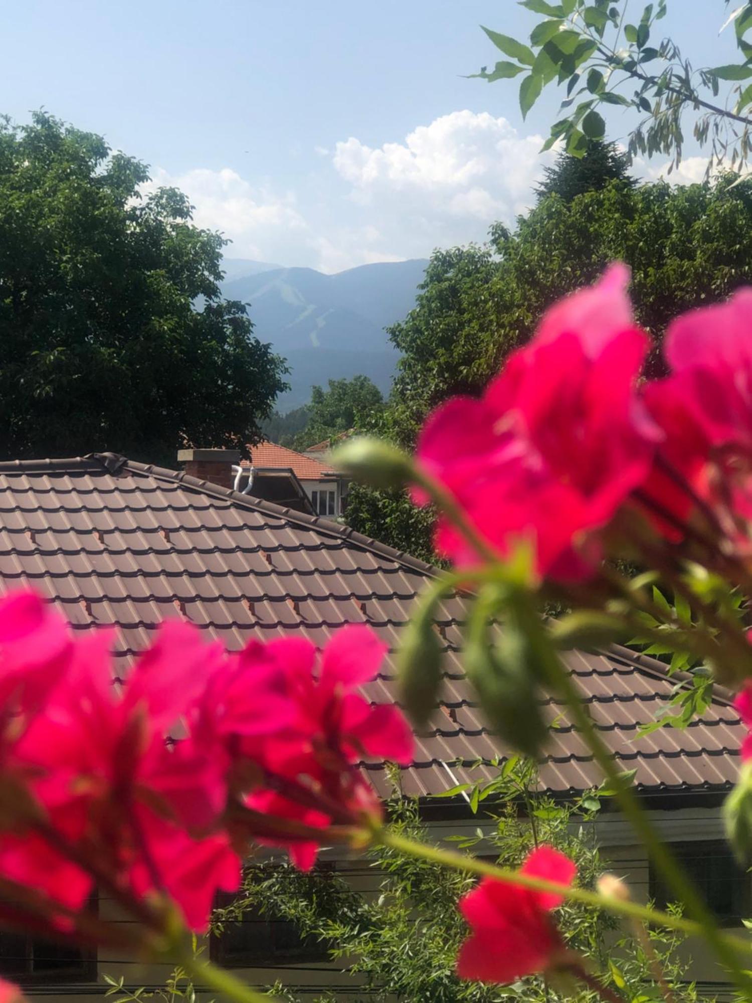 Guest House Legeto Samokov Ngoại thất bức ảnh