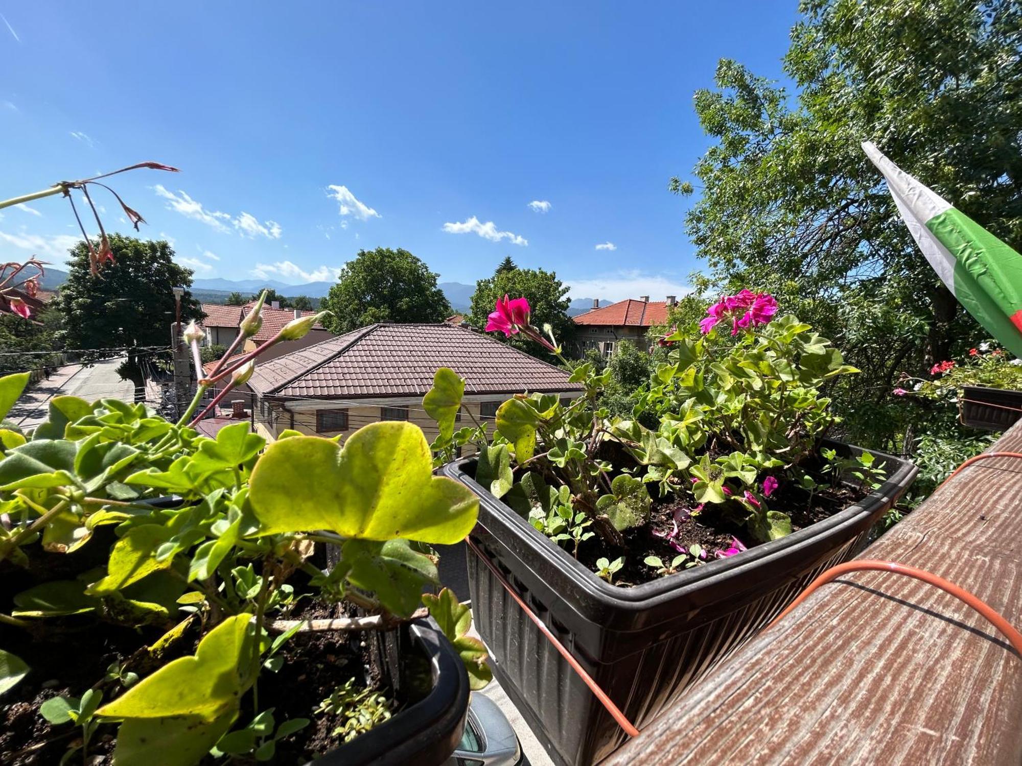 Guest House Legeto Samokov Ngoại thất bức ảnh